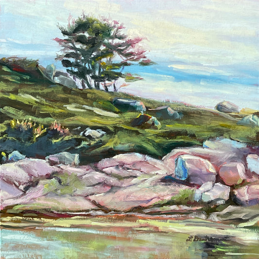 Cranberry Cove - Original Painting