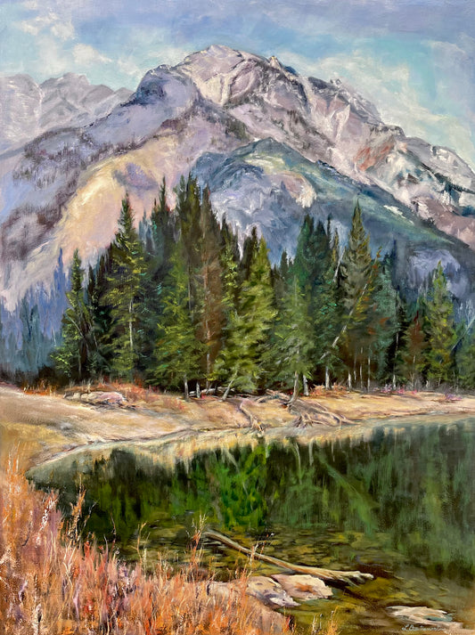 Springtime Along the Bow