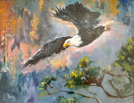 Soaring